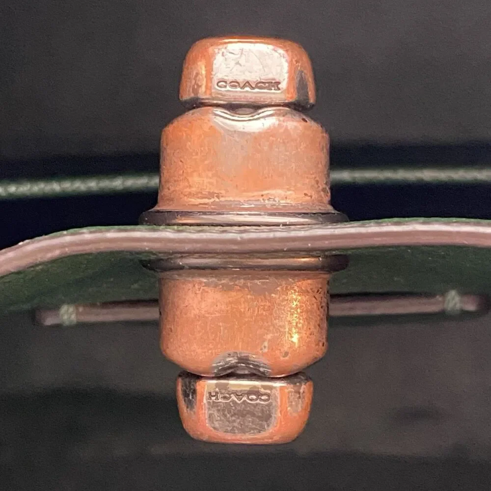 Coach Light Fern Charlie 55200 Polished Pebble Leather Bucket Shoulder Purse